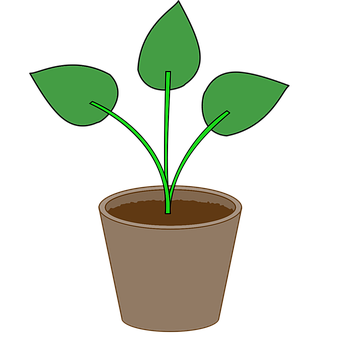 Potted Plant Illustration