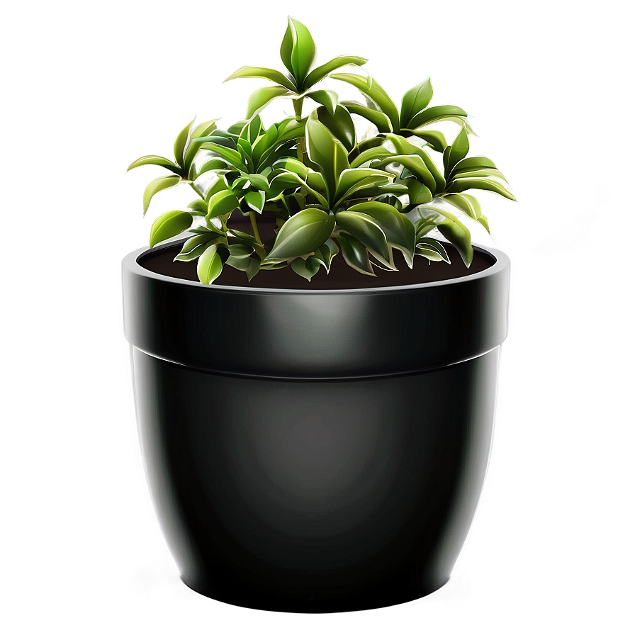 Potted Plant Png Jks41