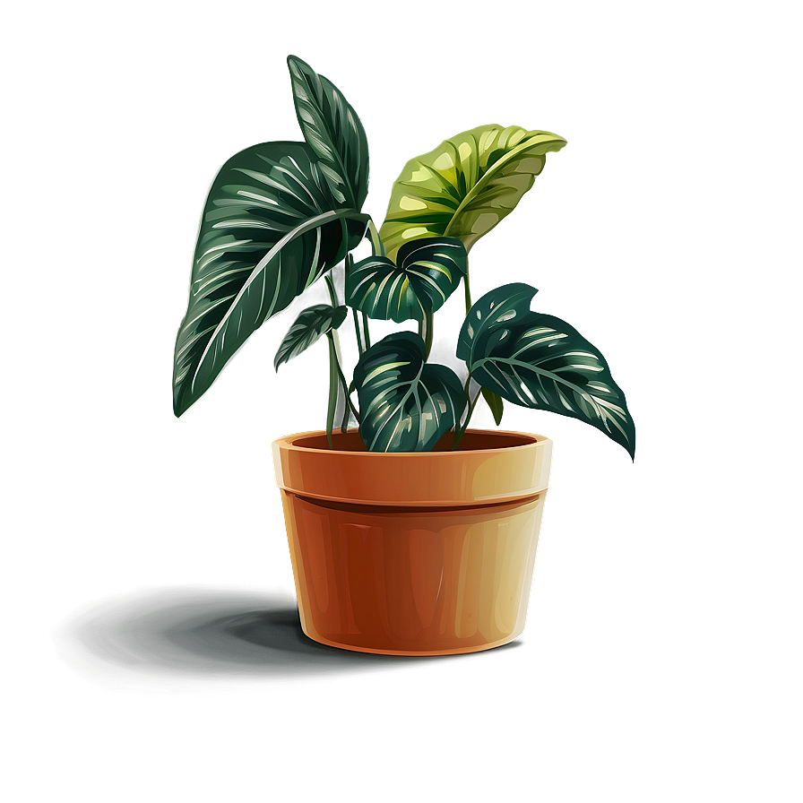 Potted Plants A