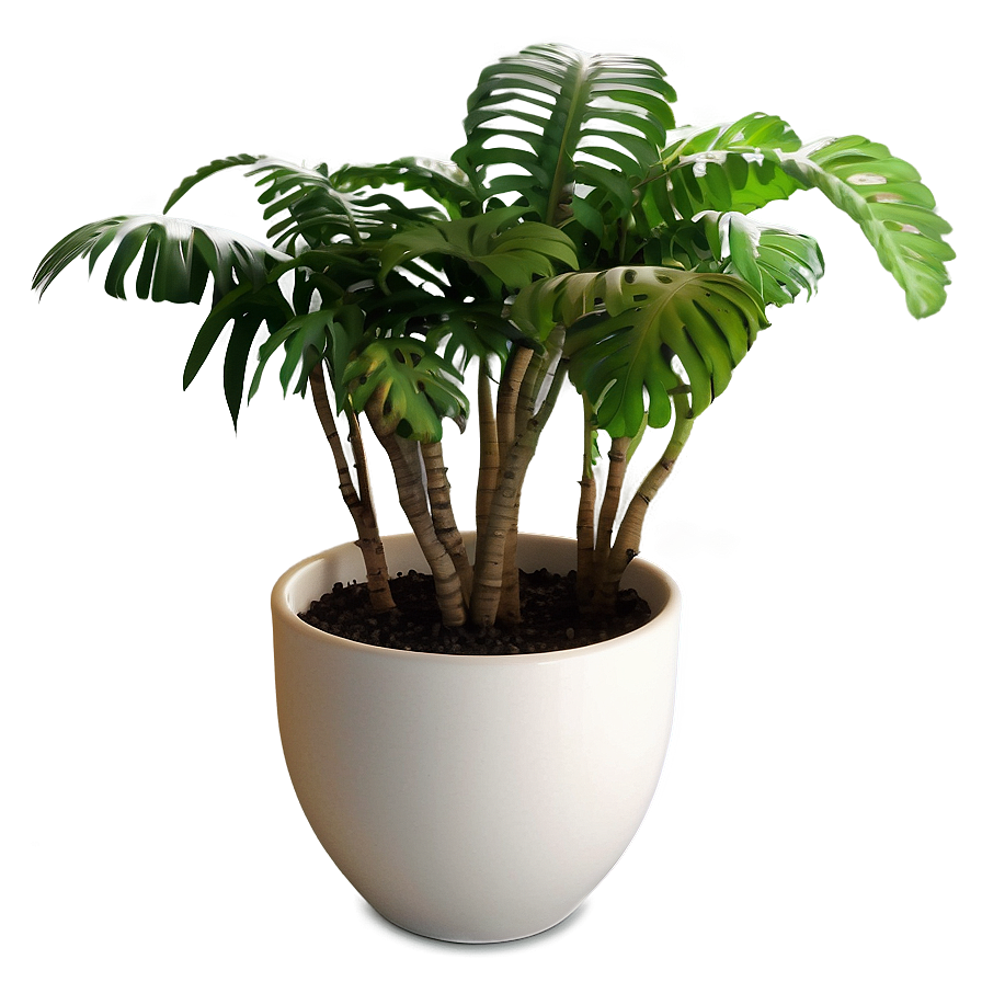 Potted Plants Png Mlk25