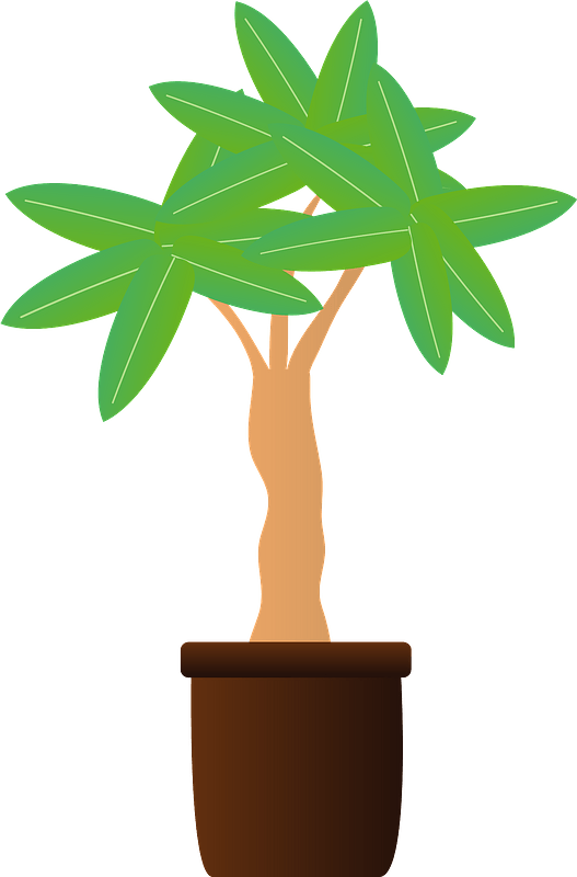 Potted Tropical Tree Illustration