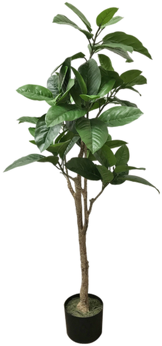 Potted Tropical Tree Indoor Decor