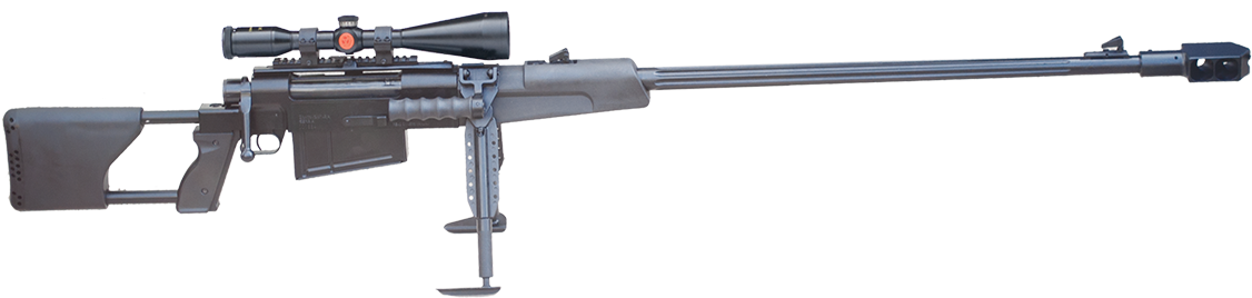 Precision Sniper Riflewith Scope