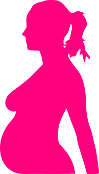 Pregnant Silhouette Profile