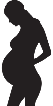 Pregnant Silhouette Profile