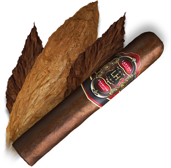 Premium Cigar With Labeland Tobacco Leaves