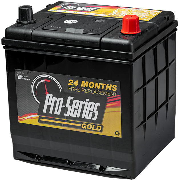 Pro Series Gold Car Battery