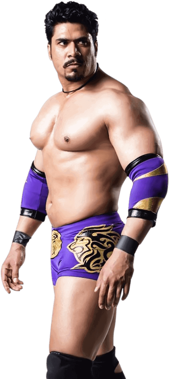 Pro Wrestler In Purple Attire