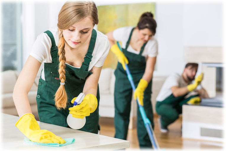 Professional Cleaning Teamat Work Melbourne