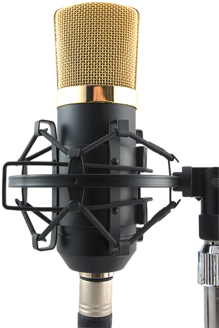 Professional Condenser Studio Microphone