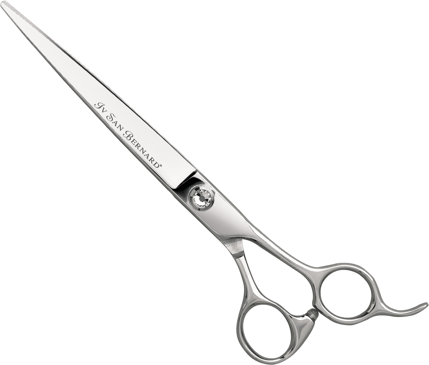 Professional Hairdressing Scissors