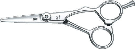 Professional Hairdressing Scissors