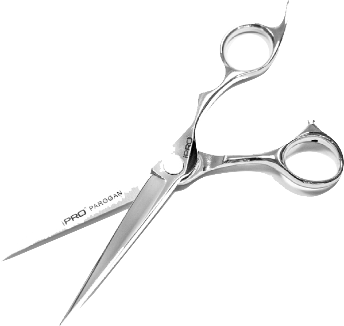 Professional Hairdressing Scissors