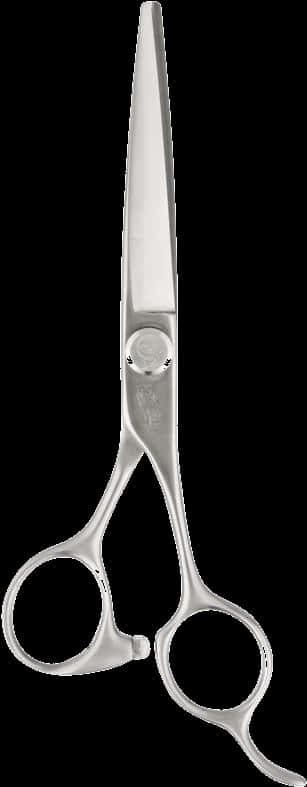 Professional Hairdressing Scissors