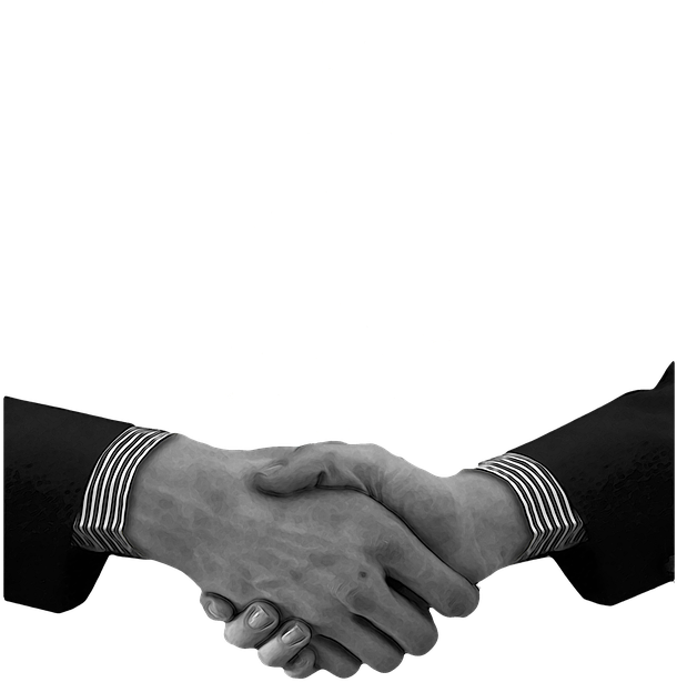 Professional Handshake Agreement