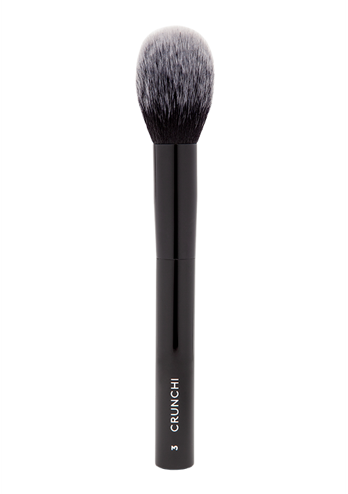 Professional Makeup Brush Isolated