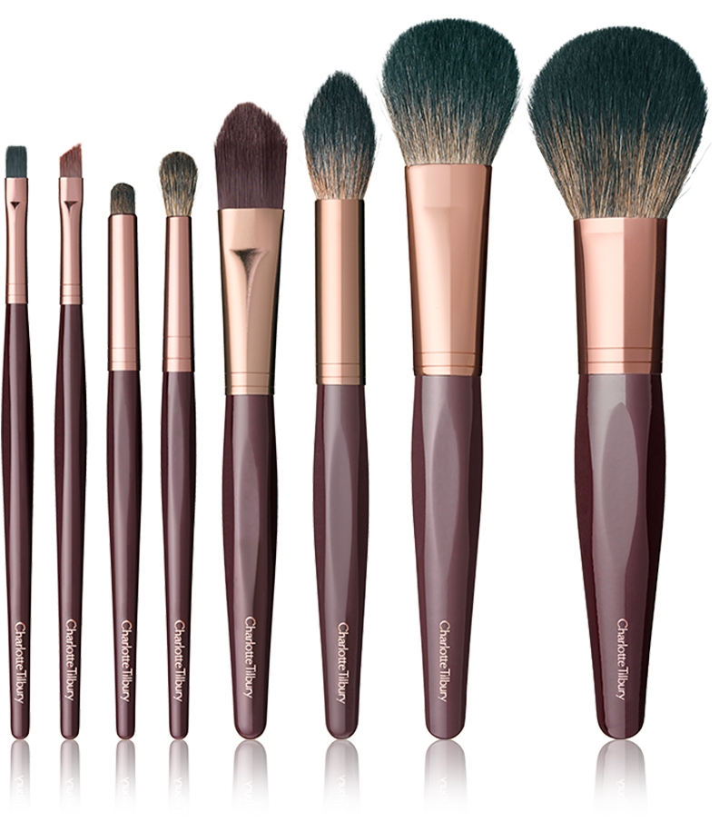 Professional Makeup Brush Set