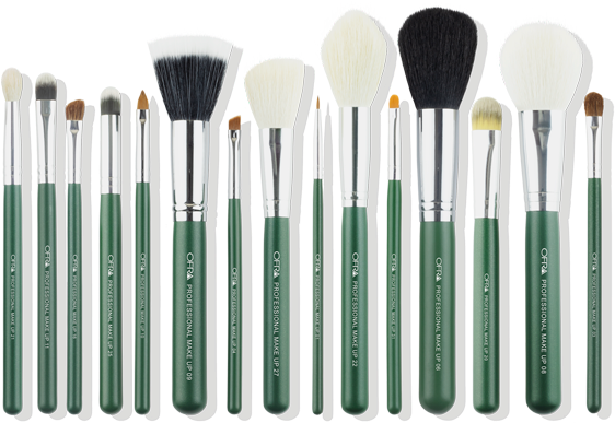 Professional Makeup Brush Set