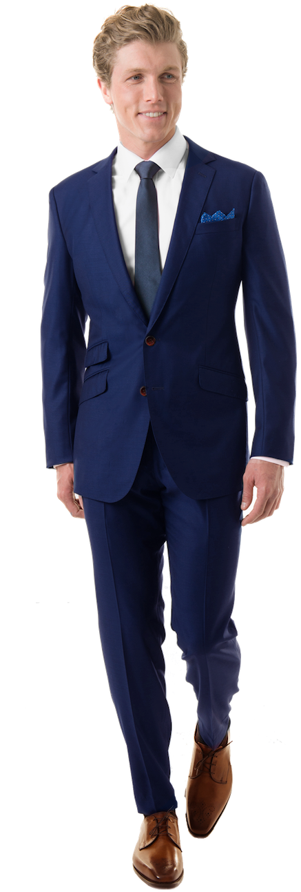 Professional Manin Blue Suit