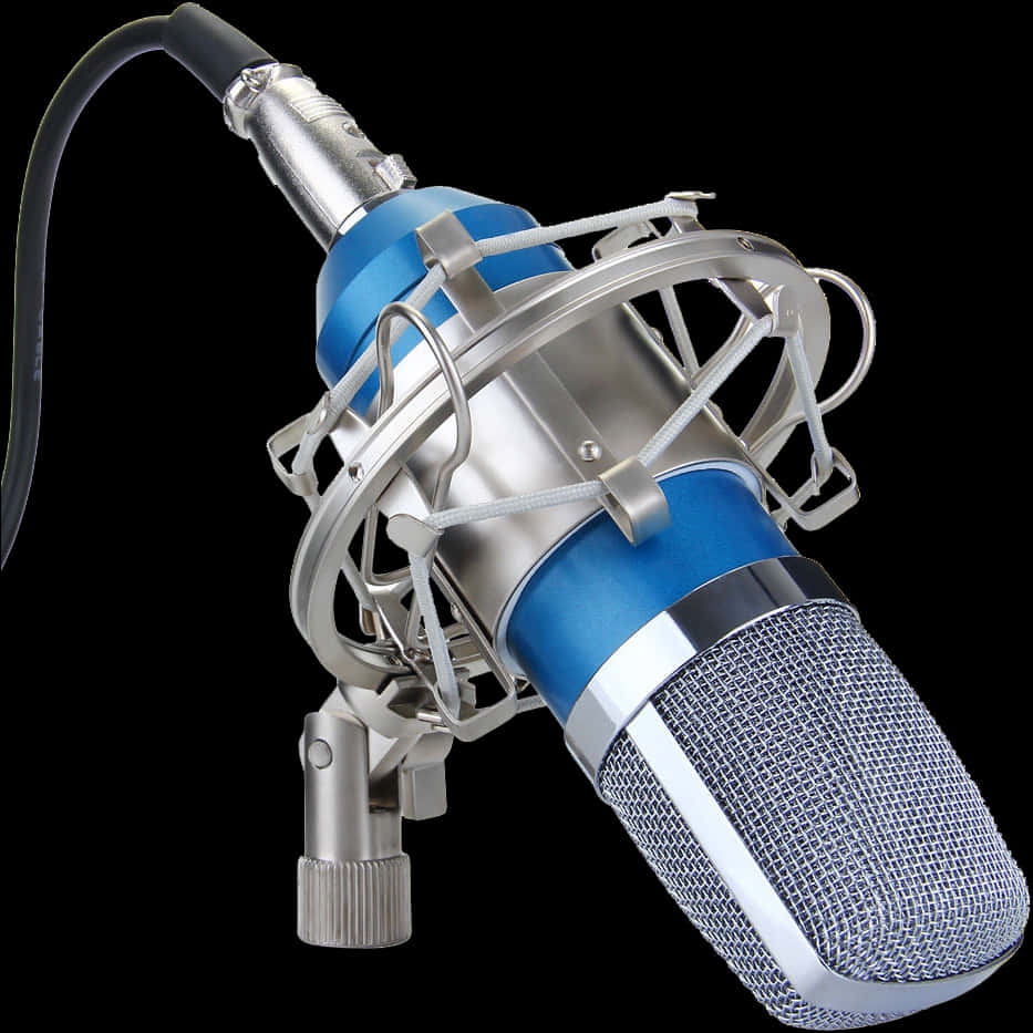 Professional Studio Microphone