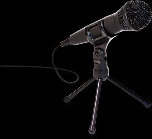 Professional Studio Microphoneon Stand