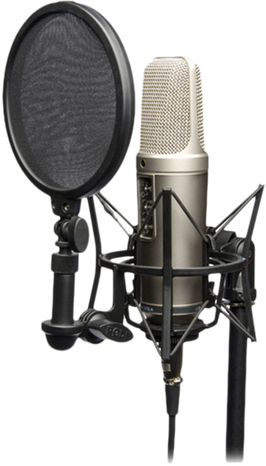 Professional Studio Microphonewith Pop Filter