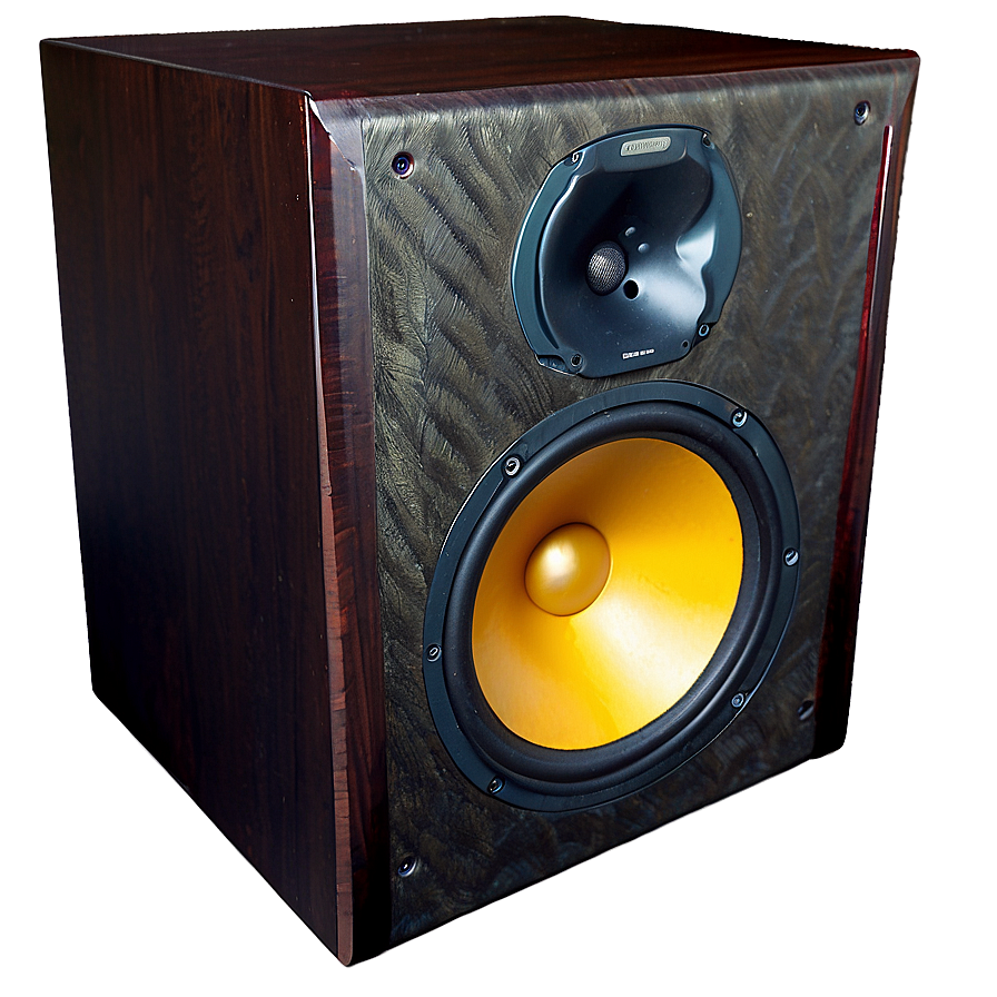 Professional Studio Monitor Speaker Png 05242024