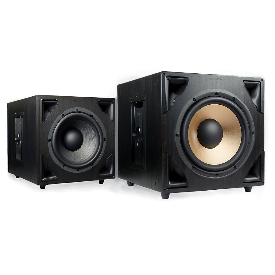 Professional Subwoofer Png 06282024