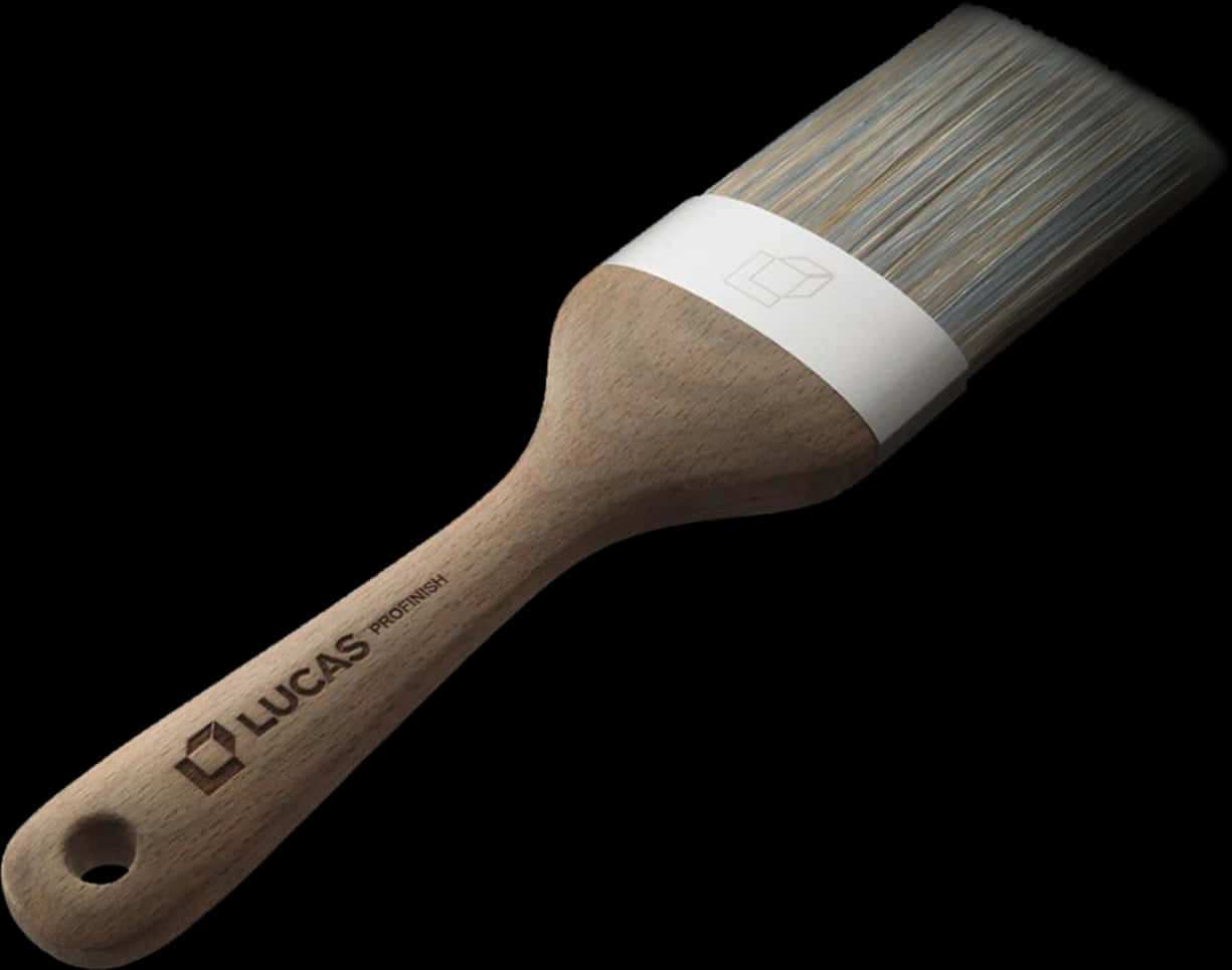 Professional Wooden Paint Brush