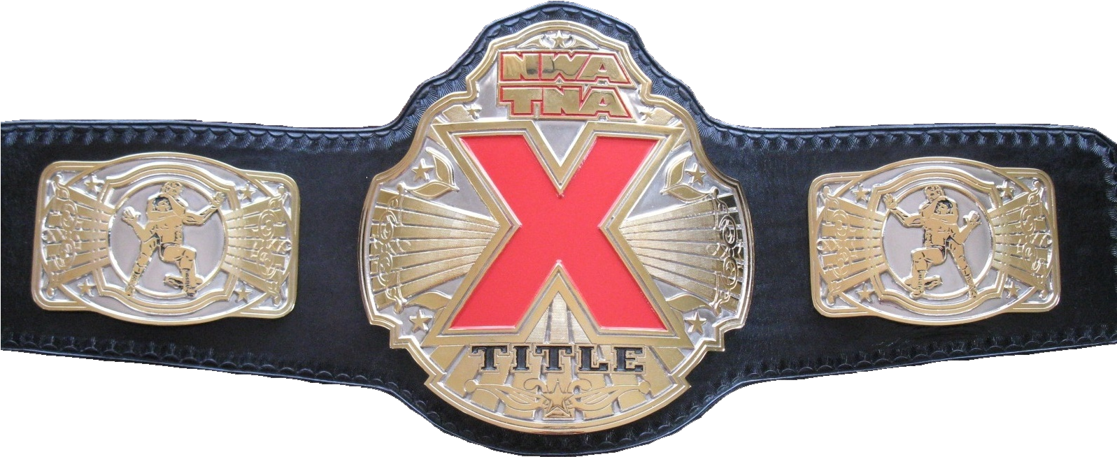 Professional Wrestling Championship Belt