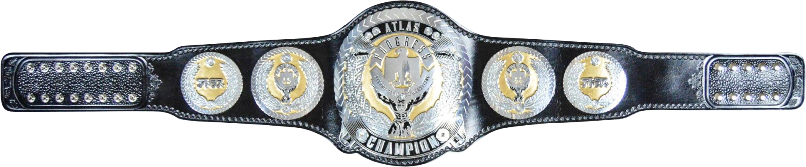 Professional Wrestling Championship Belt