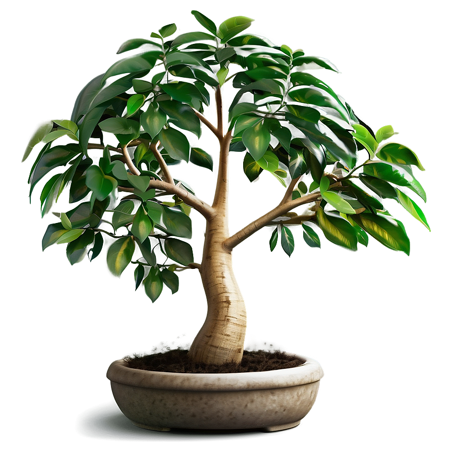 Prosperous Money Tree Image Png 75