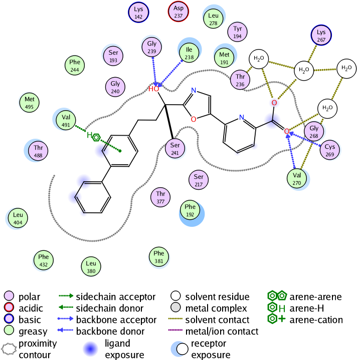 Protein Ligand Interaction Map