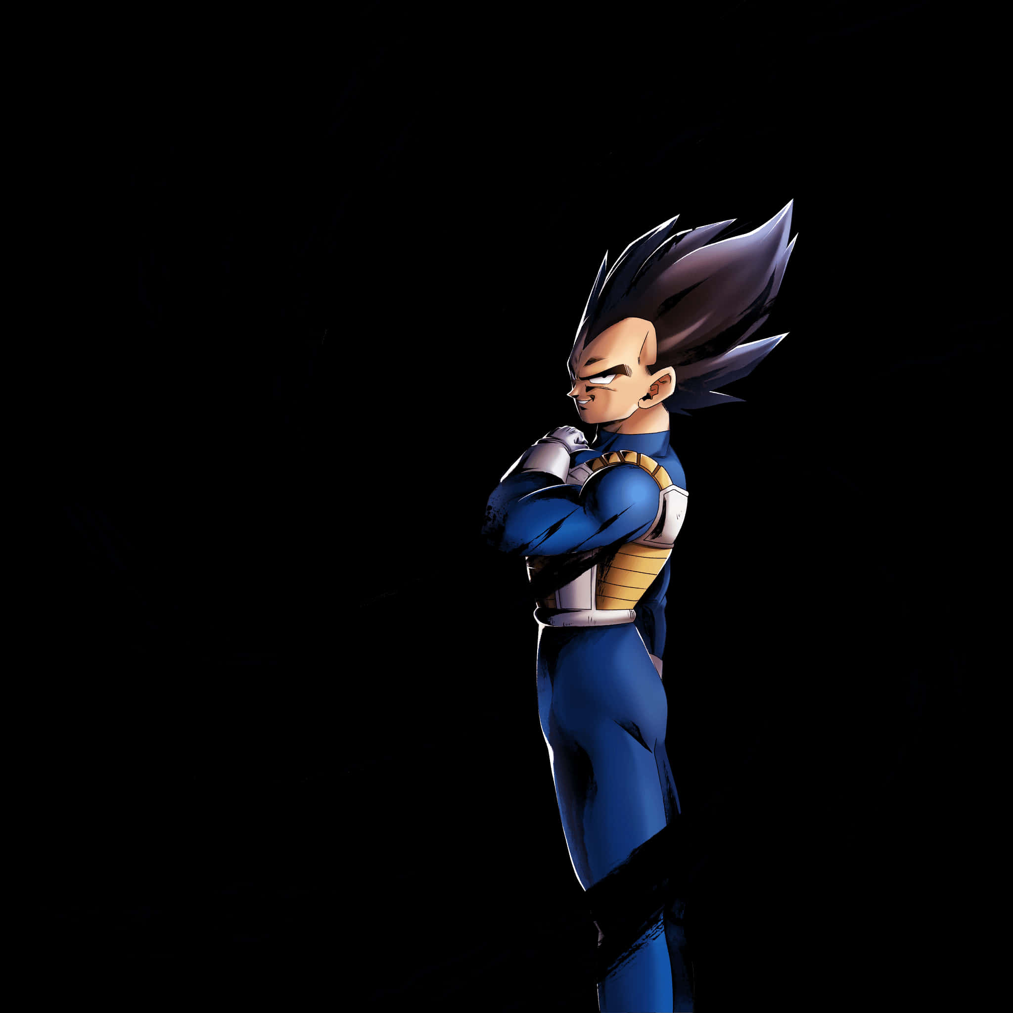 Proud Saiyan Prince Vegeta