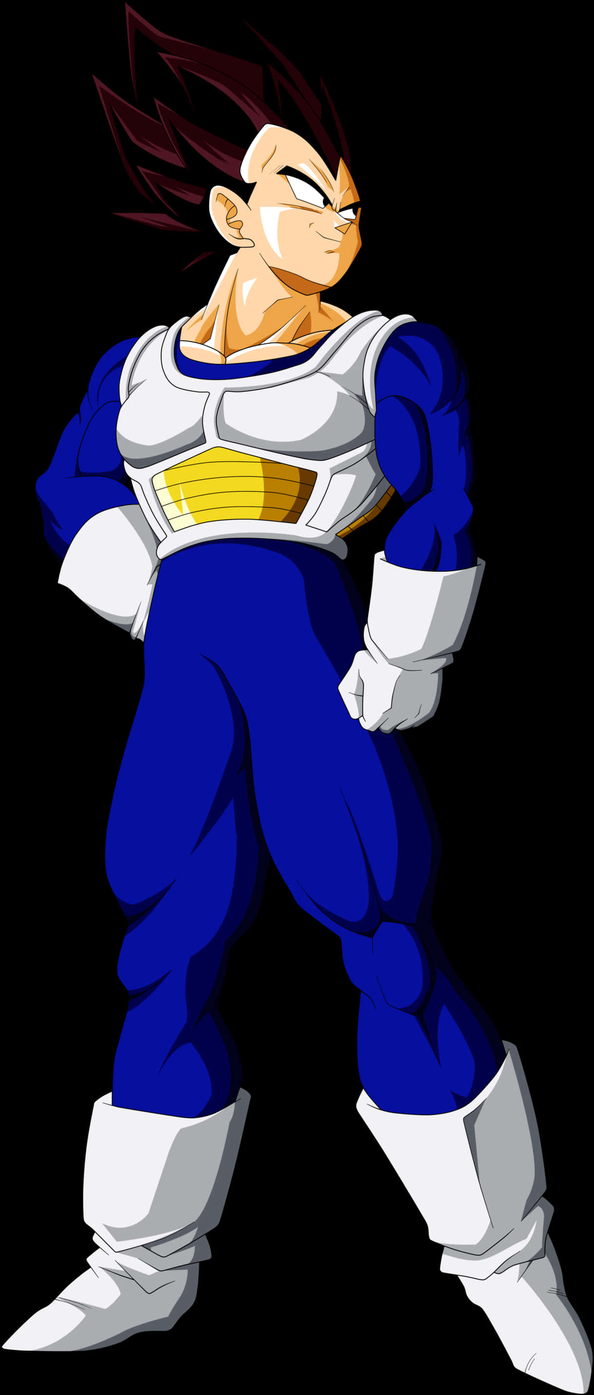 Proud Saiyan Prince Vegeta