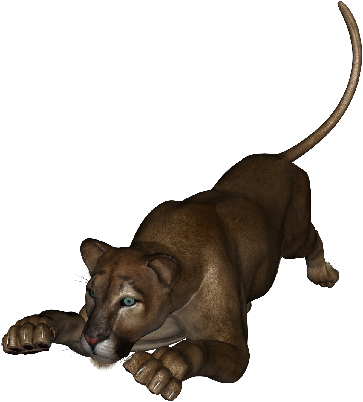 Prowling Lioness Graphic