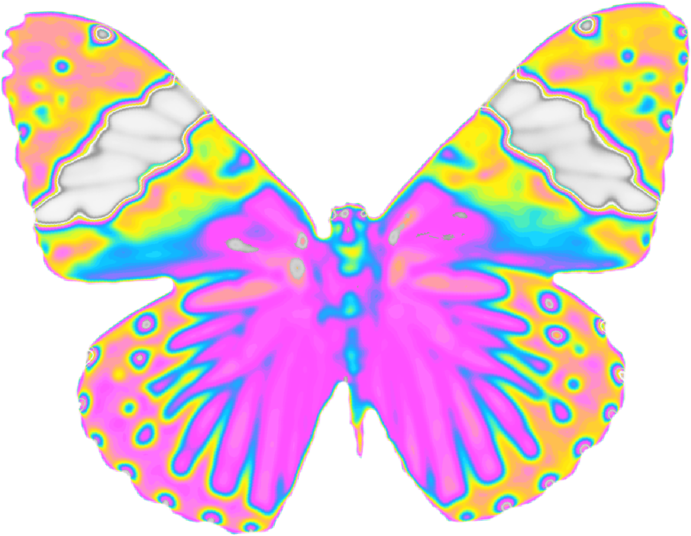 Psychedelic Butterfly Wings