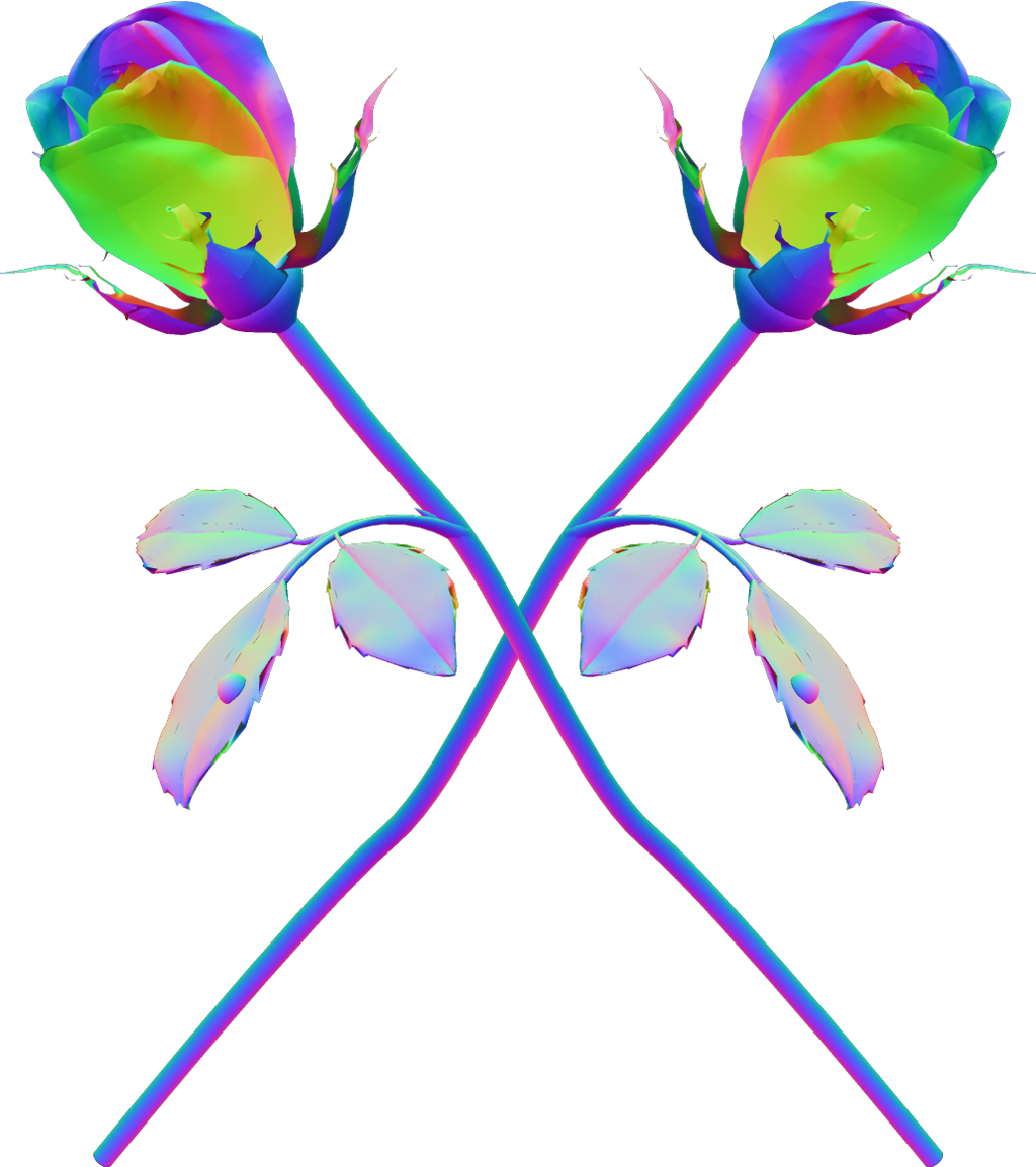 Psychedelic Rose Symmetry