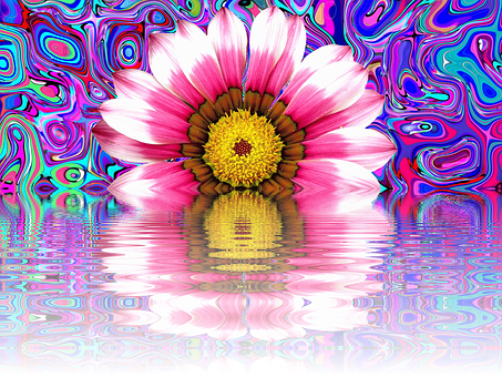 Psychedelic Summer Daisy Reflection