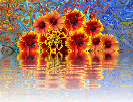 Psychedelic Summer Flowers Reflection