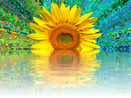 Psychedelic Sunflower Reflection