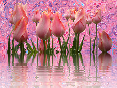Psychedelic Tulips Reflection