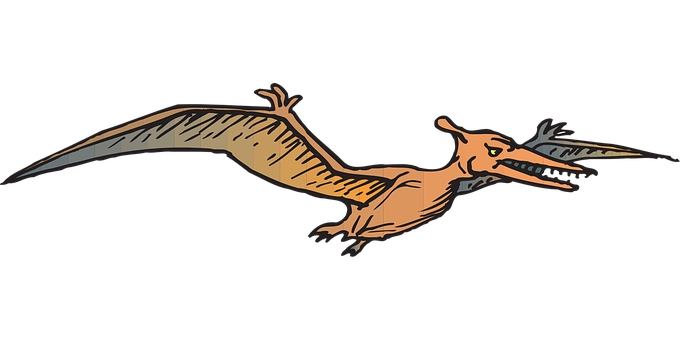 Pterosaur Illustration Black Background