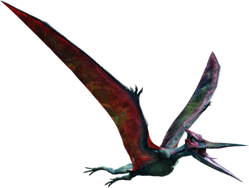 Pterosaur In Flight