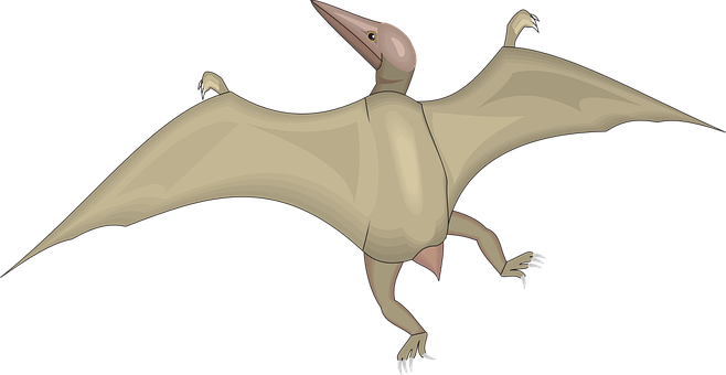 Pterosaur In Flight Illustration