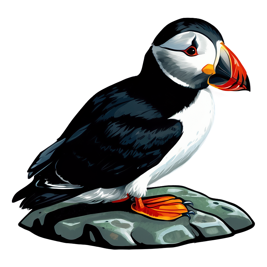 Puffin On Rock Png Gil