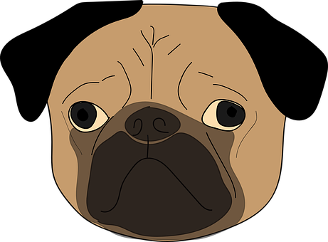 Pug Face Illustration