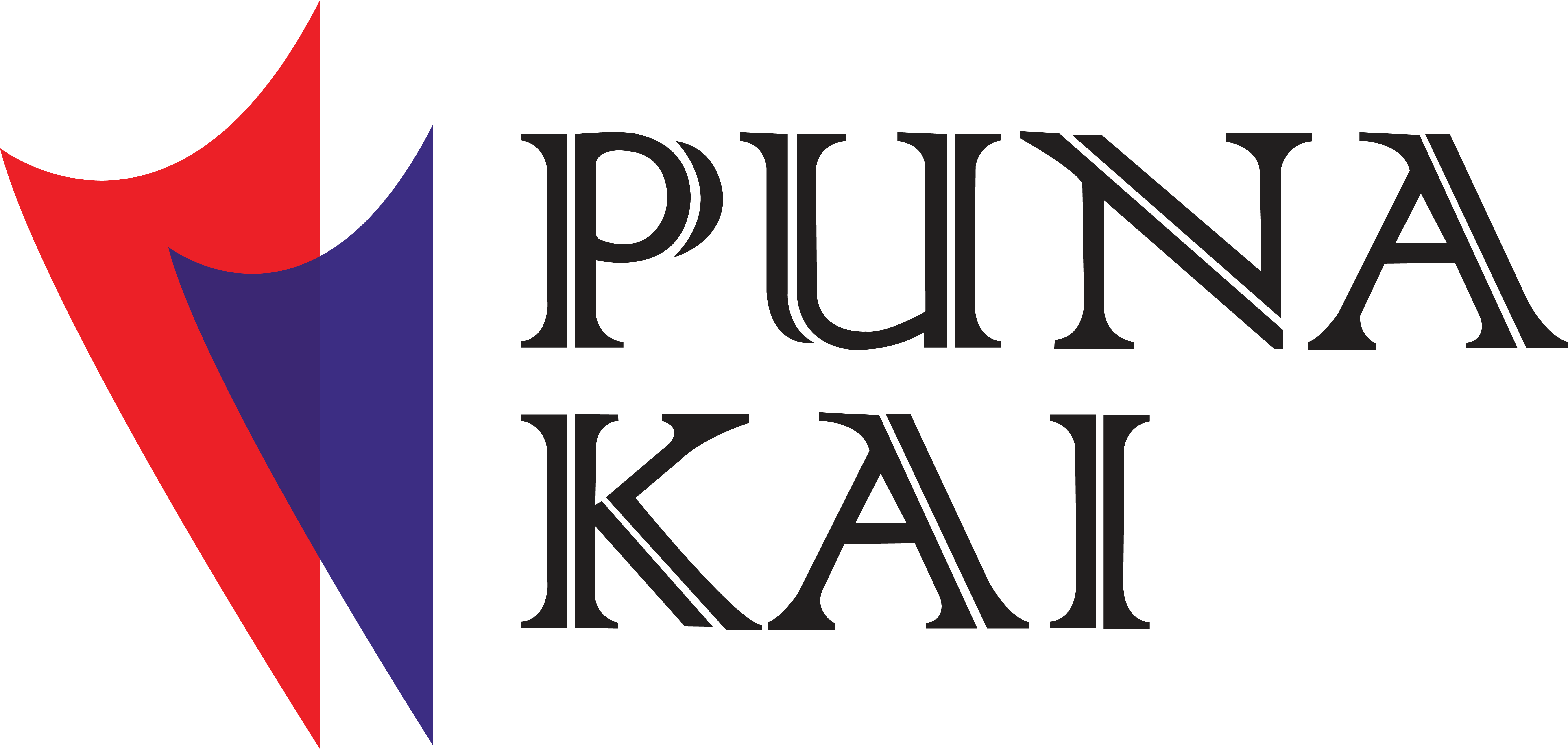 Punakai Logo Design