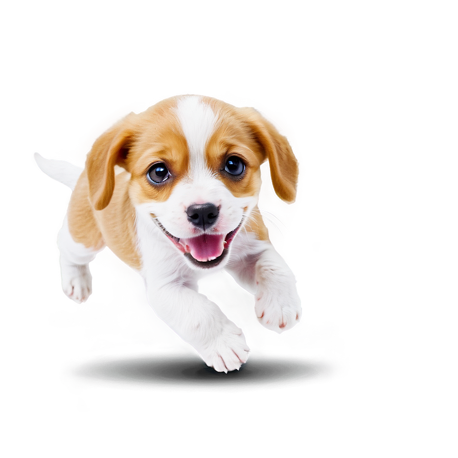 Puppy Jumping Png 19