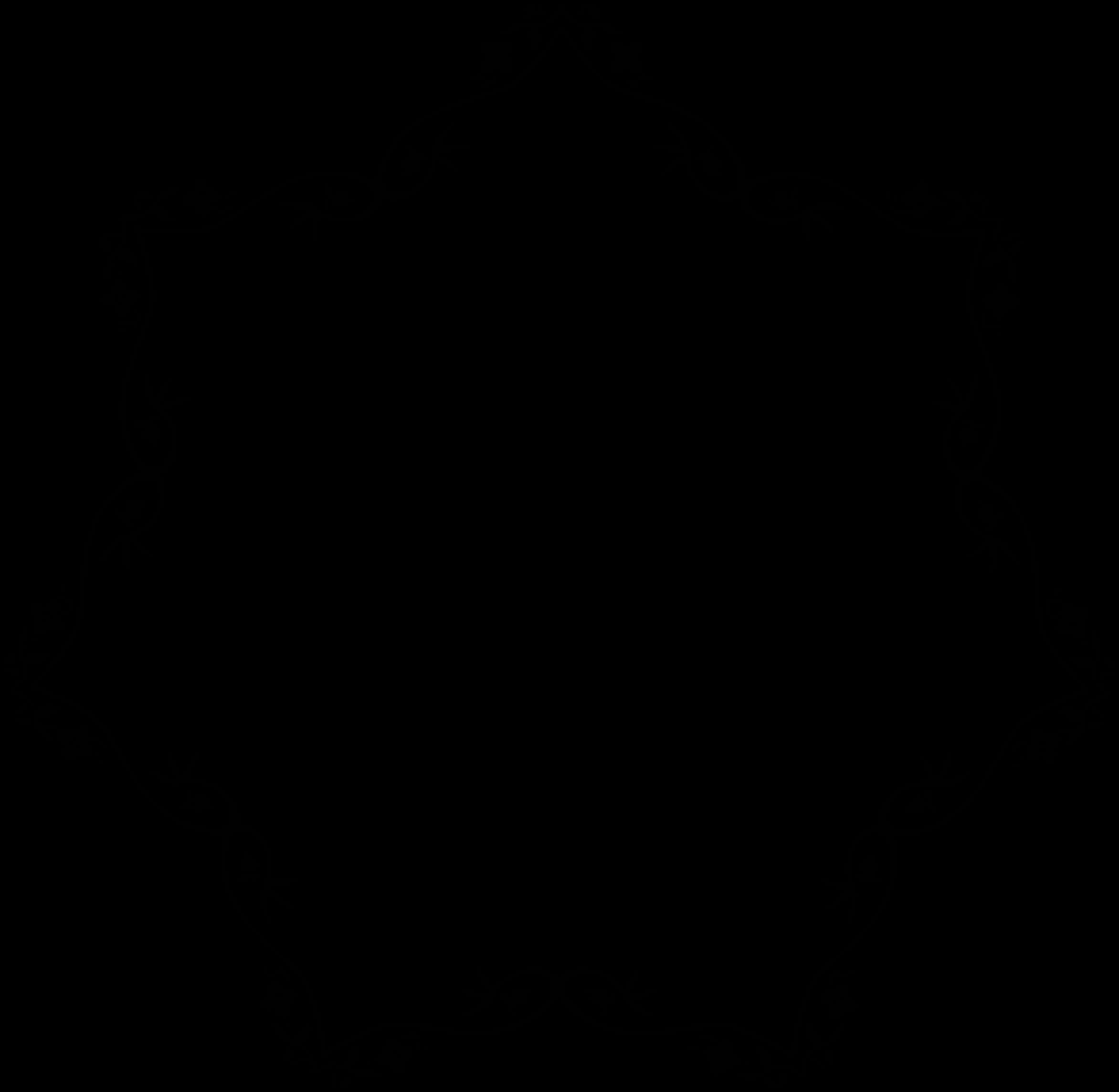 Pure Black Background